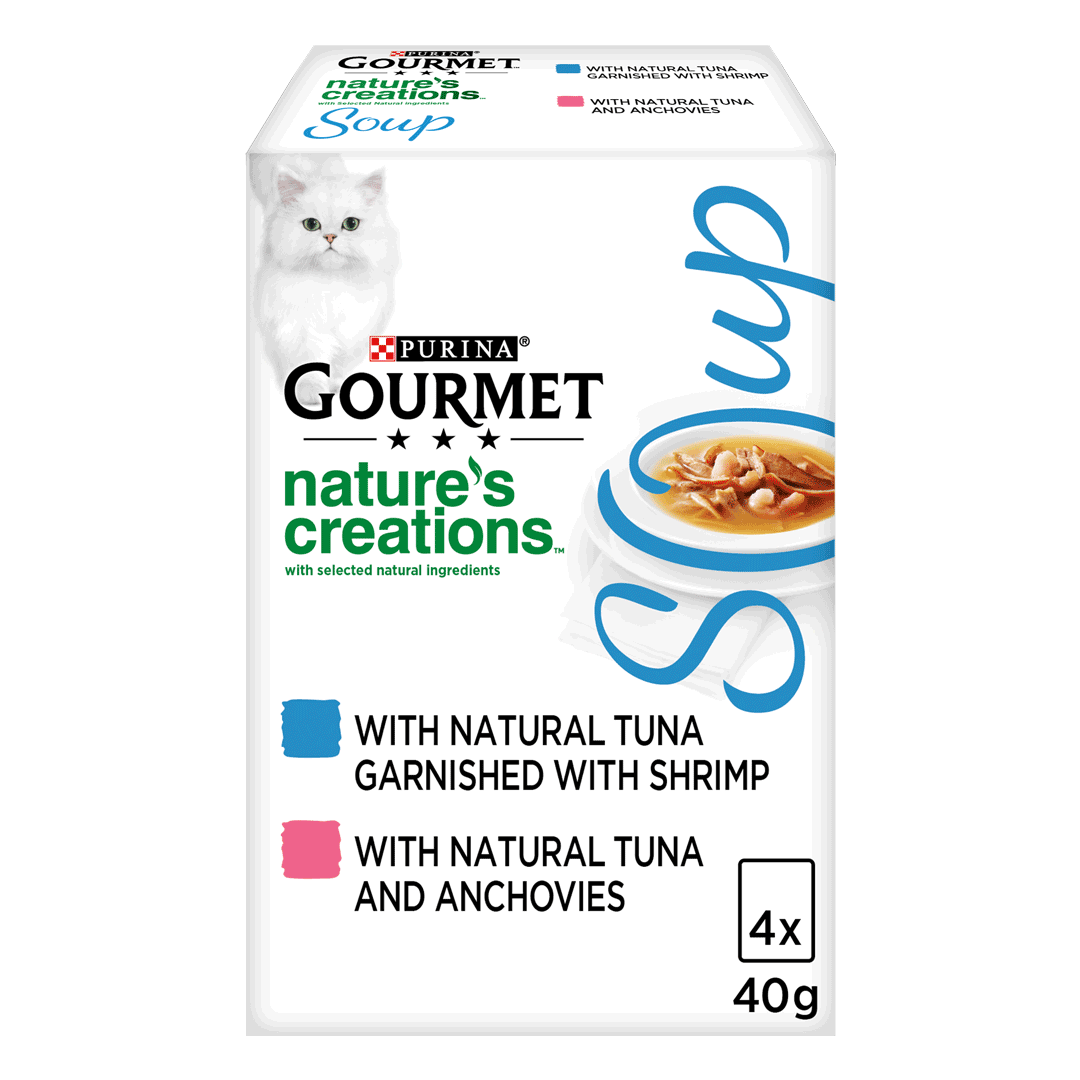 Purina gourmet cat soup hotsell