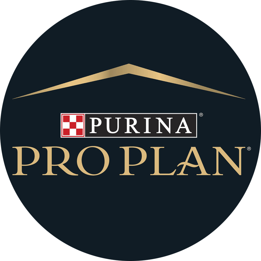 PRO PLAN