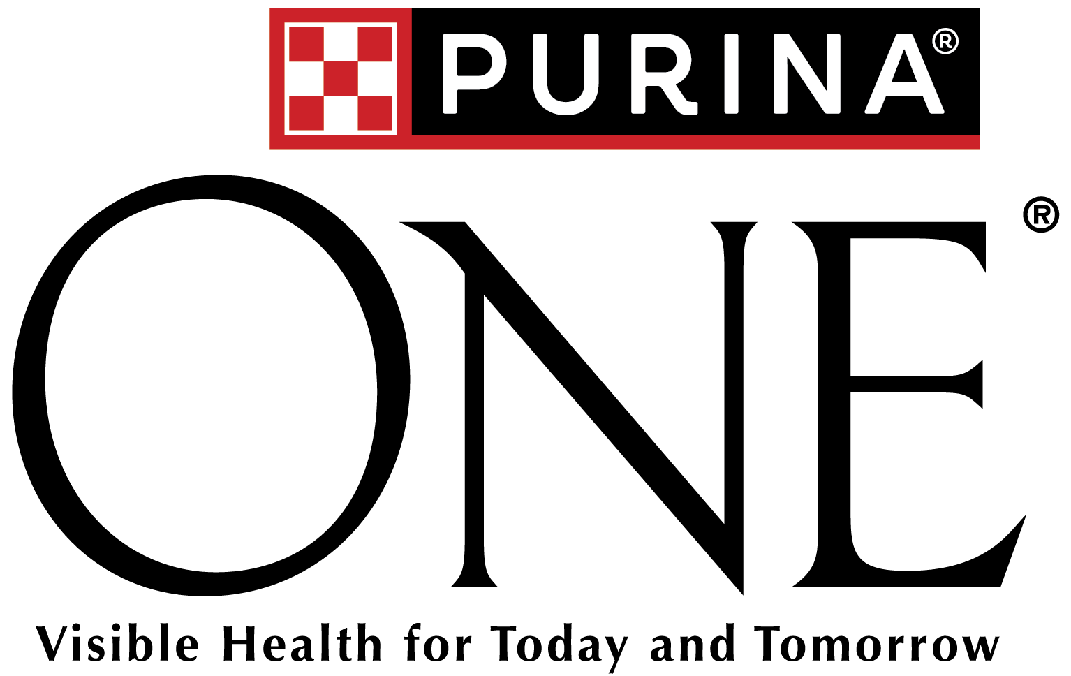 PURINA ONE Junior