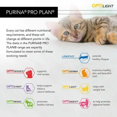 PRO PLAN Light Weight Management Turkey Dry Cat Food