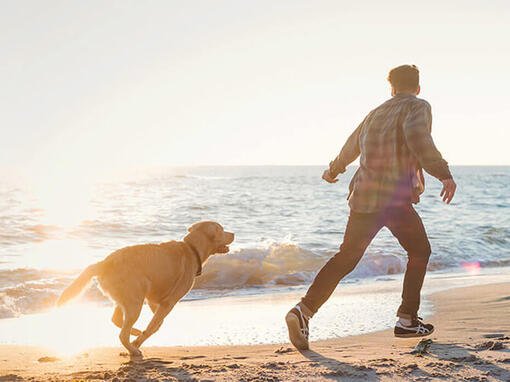 Hund und Besitzer am Strand