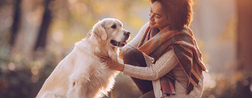 Frau mit Hund im Wald sitzend