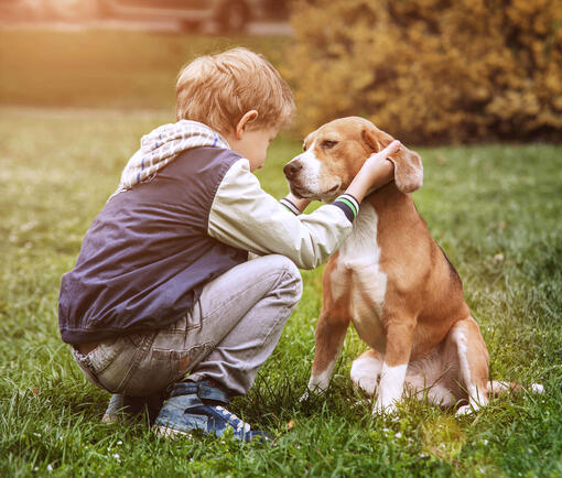 Junge streichelt braunen Hund an beiden Ohren