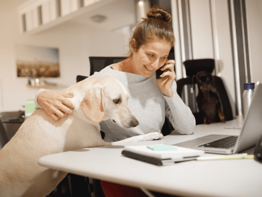 Eine Frau sitzt mit einem Hund