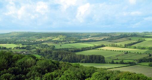 Regenerative Landwirtschaft