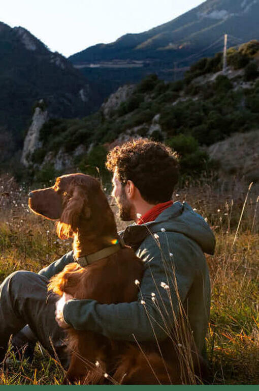 Hund und Besitzer auf einem Abenteuer mit Purina AdVENTuROS