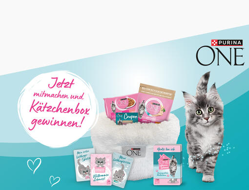 PURINA ONE Junior Aktion Mobile