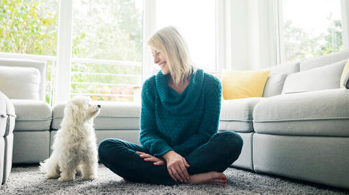 Frau sitzt neben Hund