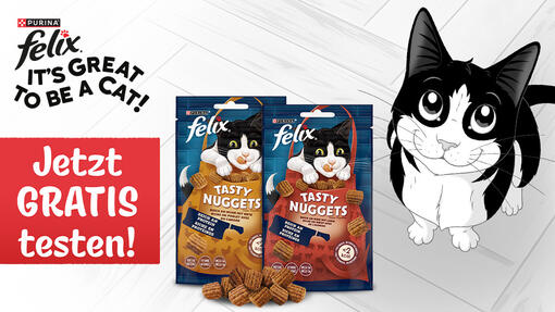 Purina Felix