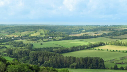 Entdecke unsere Reise zur regenerativen Landwirtschaft mit Friskies